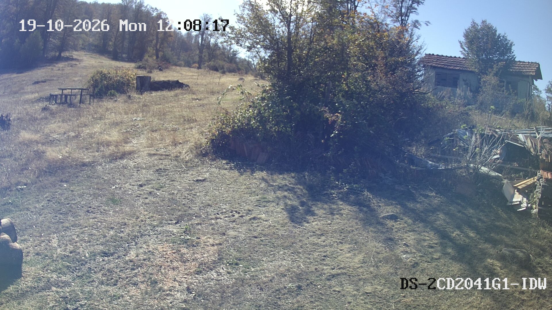 Latest Image