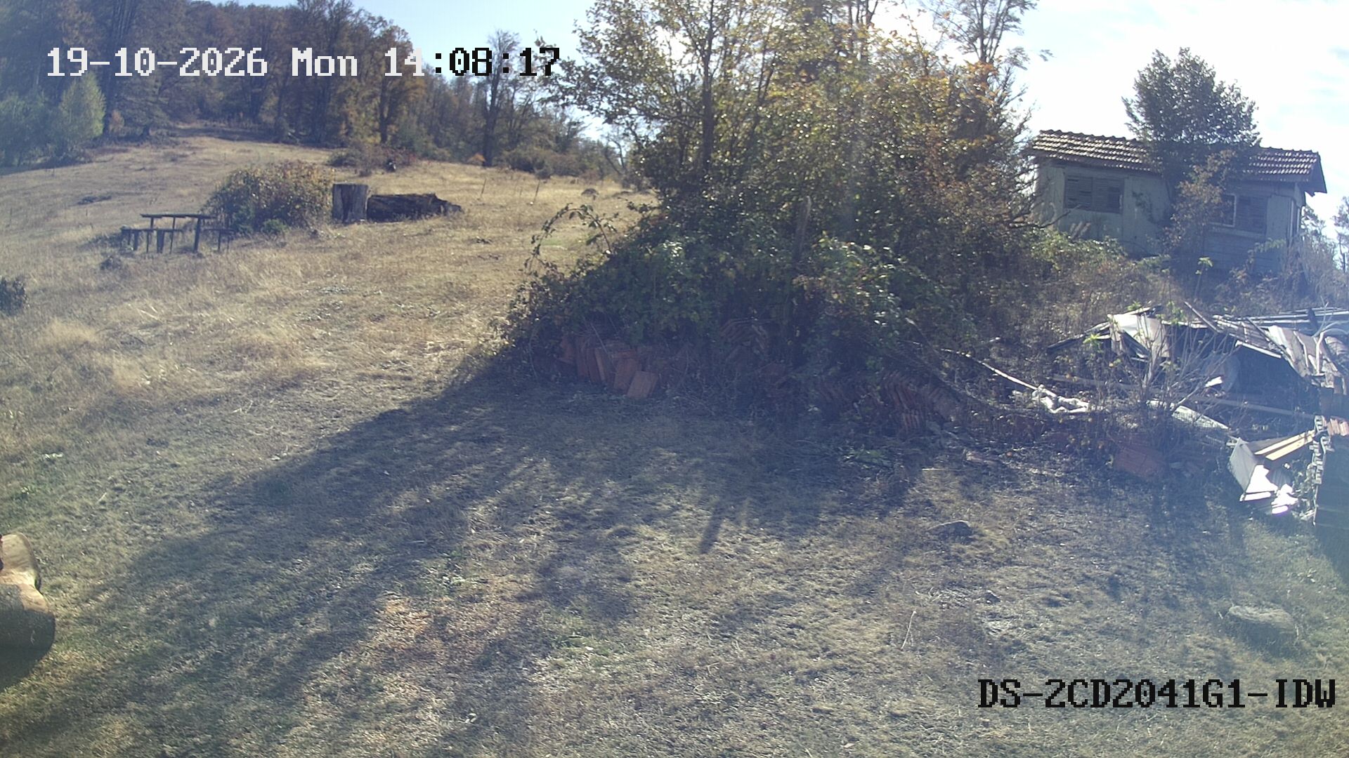 Latest Image
